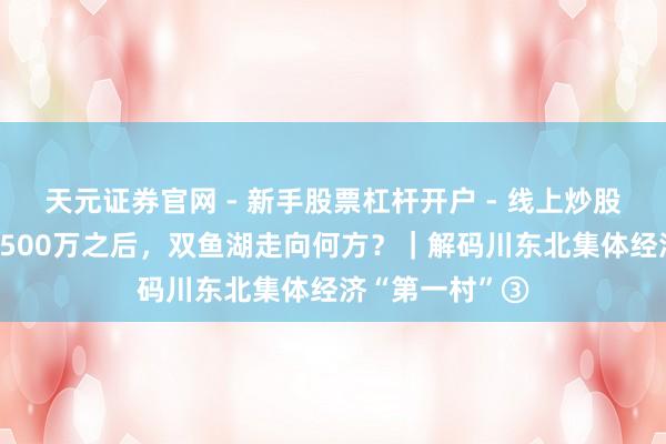 天元证券官网 - 新手股票杠杆开户 - 线上炒股配资如何注册 500万之后，双鱼湖走向何方？｜解码川东北集体经济“第一村”③
