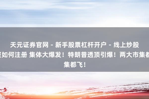 天元证券官网 - 新手股票杠杆开户 - 线上炒股配资如何注册 集体大爆发！特朗普透顶引爆！两大市集都飞！