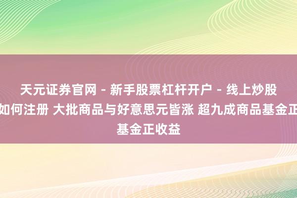 天元证券官网 - 新手股票杠杆开户 - 线上炒股配资如何注册 大批商品与好意思元皆涨 超九成商品基金正收益