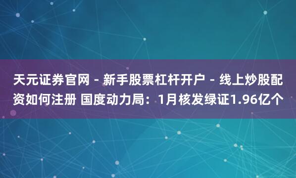 天元证券官网 - 新手股票杠杆开户 - 线上炒股配资如何注册 国度动力局：1月核发绿证1.96亿个
