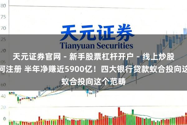 天元证券官网 - 新手股票杠杆开户 - 线上炒股配资如何注册 半年净赚近5900亿！四大银行贷款蚁合投向这个范畴