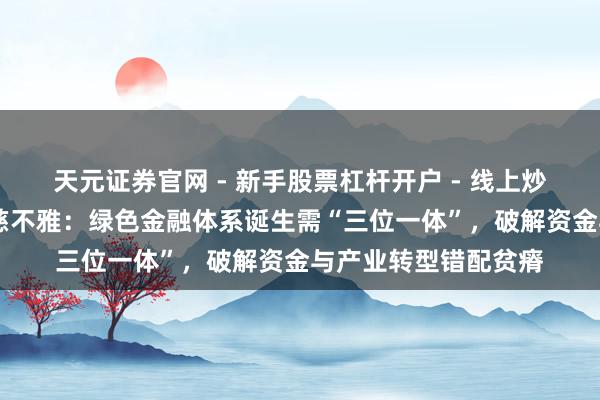天元证券官网 - 新手股票杠杆开户 - 线上炒股配资如何注册 邱慈不雅：绿色金融体系诞生需“三位一体”，破解资金与产业转型错配贫瘠