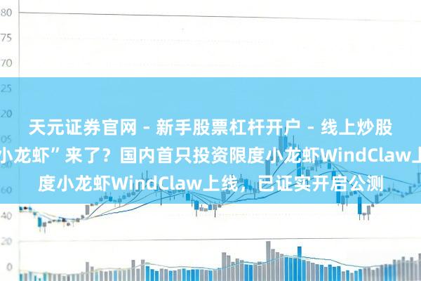 天元证券官网 - 新手股票杠杆开户 - 线上炒股配资如何注册 炒股“小龙虾”来了?国内首只投资限度小龙虾WindClaw上线,已证实开启公测