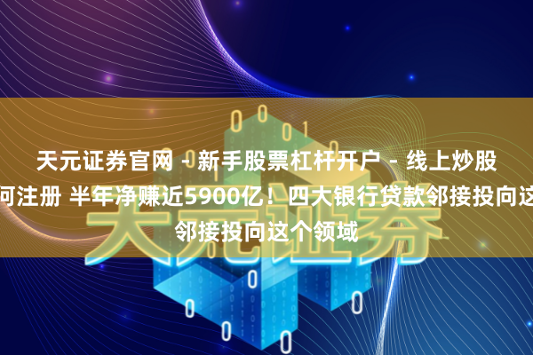 天元证券官网 - 新手股票杠杆开户 - 线上炒股配资如何注册 半年净赚近5900亿！四大银行贷款邻接投向这个领域