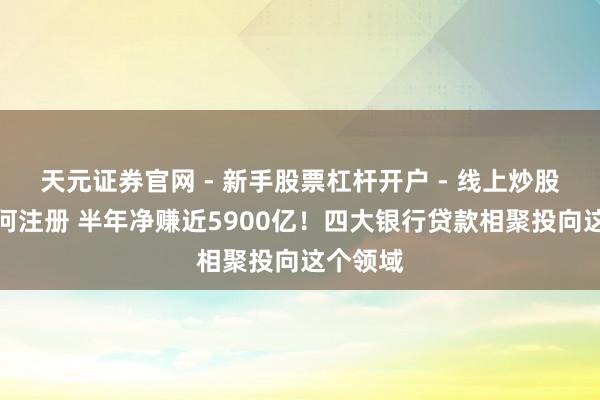 天元证券官网 - 新手股票杠杆开户 - 线上炒股配资如何注册 半年净赚近5900亿！四大银行贷款相聚投向这个领域