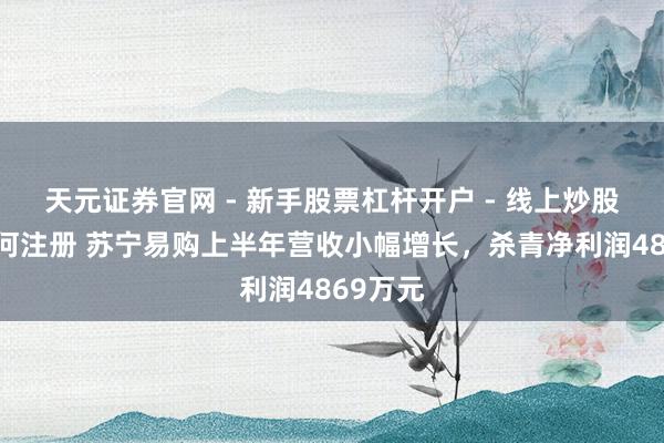 天元证券官网 - 新手股票杠杆开户 - 线上炒股配资如何注册 苏宁易购上半年营收小幅增长,杀青净利润4869万元