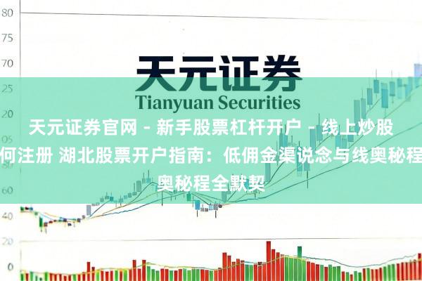 天元证券官网 - 新手股票杠杆开户 - 线上炒股配资如何注册 湖北股票开户指南：低佣金渠说念与线奥秘程全默契