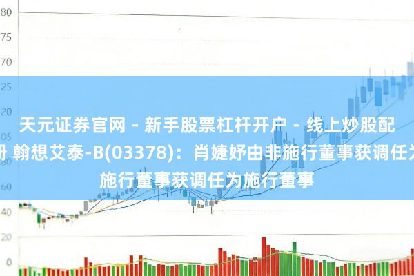 天元证券官网 - 新手股票杠杆开户 - 线上炒股配资如何注册 翰想艾泰-B(03378)：肖婕妤由非施行董事获调任为施行董事