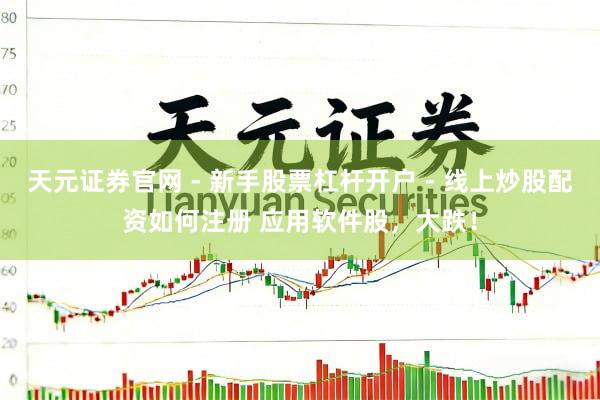天元证券官网 - 新手股票杠杆开户 - 线上炒股配资如何注册 应用软件股，大跌！