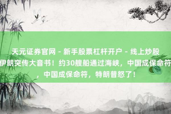 天元证券官网 - 新手股票杠杆开户 - 线上炒股配资如何注册 伊朗突传大音书！约30艘船通过海峡，中国成保命符，特朗普怒了！