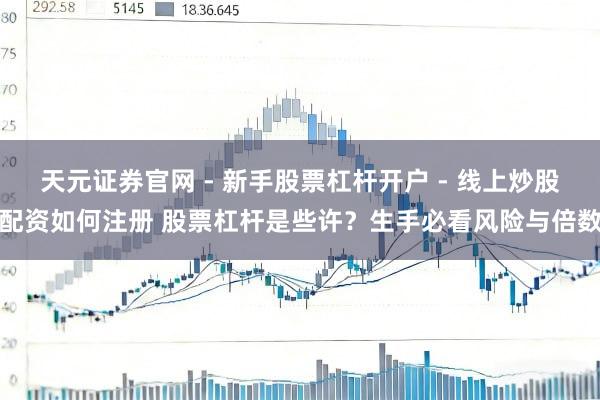 天元证券官网 - 新手股票杠杆开户 - 线上炒股配资如何注册 股票杠杆是些许?生手必看风险与倍数