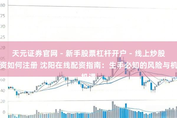 天元证券官网 - 新手股票杠杆开户 - 线上炒股配资如何注册 沈阳在线配资指南:生手必知的风险与机遇
